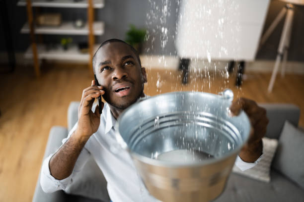 Best Flood damage cleanup  in Feasterville, PA
