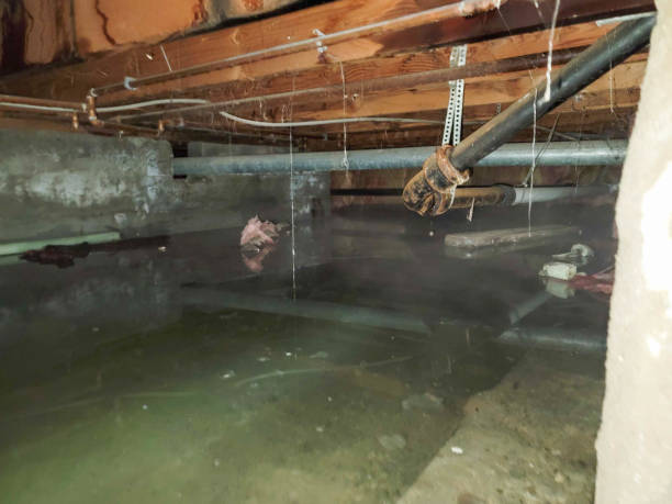  Feasterville, PA Water damage restoration Pros