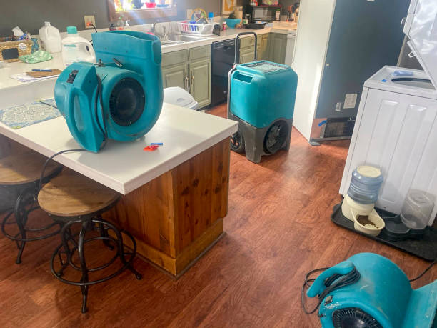 Best Flood damage cleanup  in Feasterville, PA