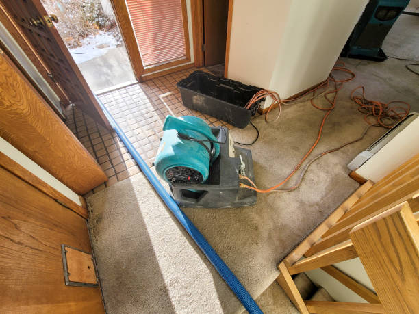 Best Fire Damage Restoration  in Feasterville, PA