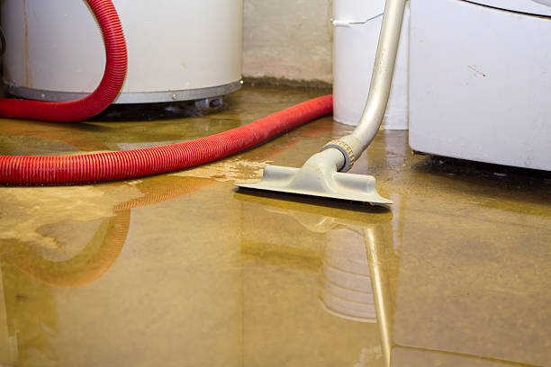 Best Water damage restoration company  in Feasterville, PA