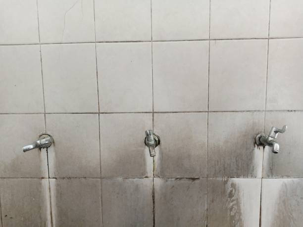 Best Fire Damage Restoration  in Feasterville, PA