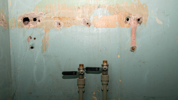 Best Local water damage restoration  in Feasterville, PA