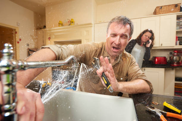 Best Water damage cleanup near me  in Feasterville, PA